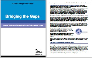 Bridging the Gaps: Aligning Workplace Perceptions Across Organizational Levels
